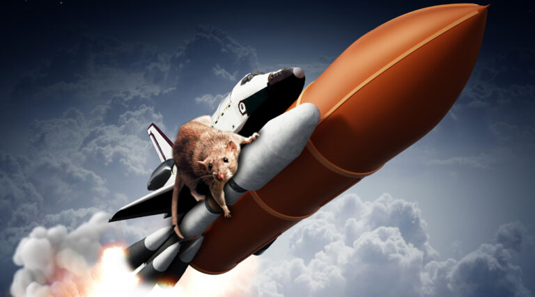 Killgerm_WebsiteTrainingImages__0030_starting-out-in-PC