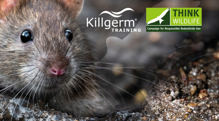 2025_KG_0467 CRUU Face to Face KG Training online graphic 1440x800px copy