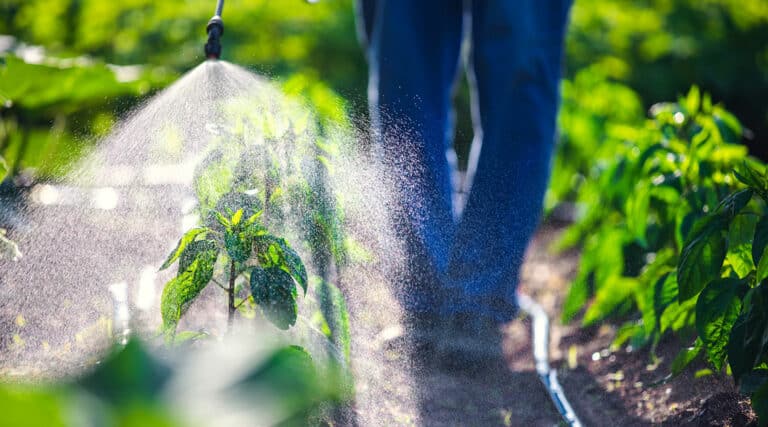 pesticides-training-1440x800px