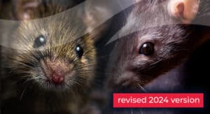 Killgerm Principles In The Use Of Rodent Glue Traps Under Licence